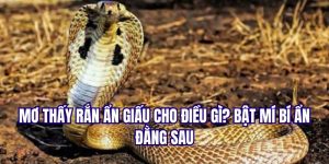 Mơ Thấy Rắn Ẩn Giấu Cho Điều Gì? Bật Mí Bí Ẩn Đằng Sau 2 Mơ thấy rắn 18win