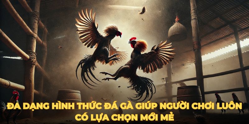 Đa dạng hình thức đá gà giúp người chơi luôn có lựa chọn mới mẻ.