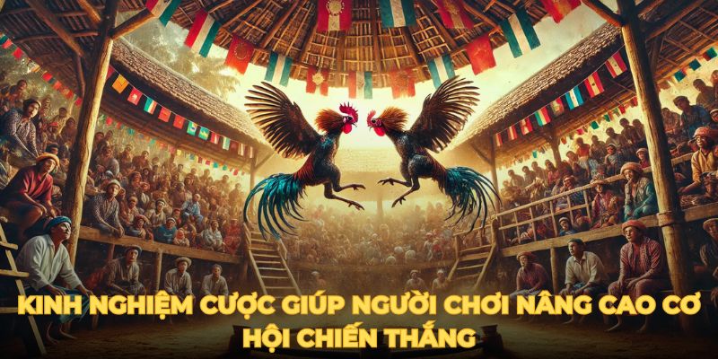 Kinh nghiệm cược giúp người chơi nâng cao cơ hội chiến thắng.