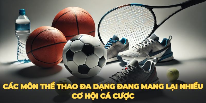 Các môn thể thao đa dạng đang mang lại nhiều cơ hội cá cược